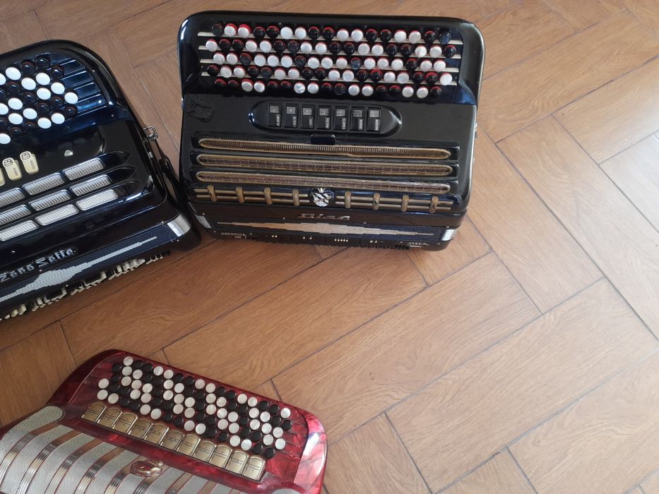 Acordeon/Armonica/Harmonica  cu butoane