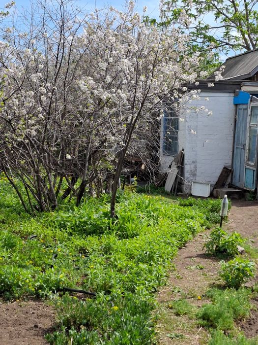 Продам дачу сад Здоровье