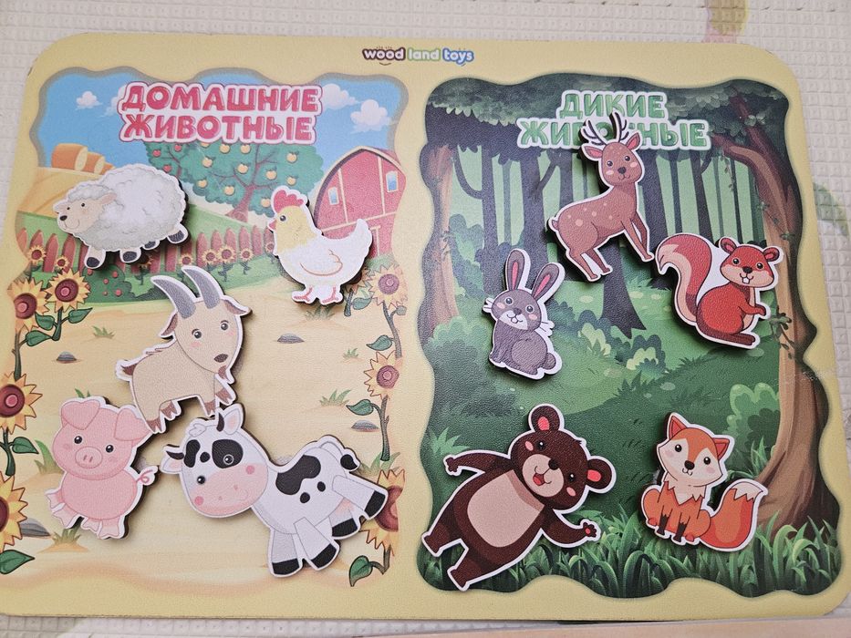 Развивающие игрушки