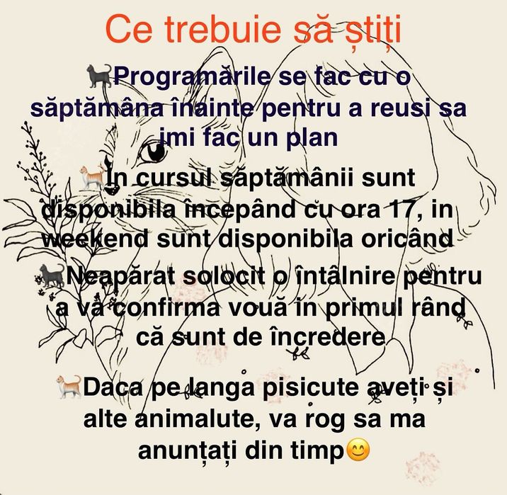 Cat Sitter-Iași (Vizite la domiciliu pentru pisici)