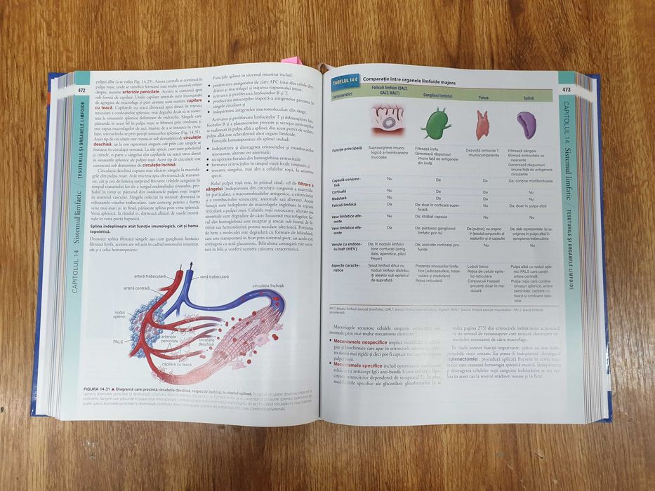 Ross Histologie: Tratat și Atlas, Wojciech Pawlina