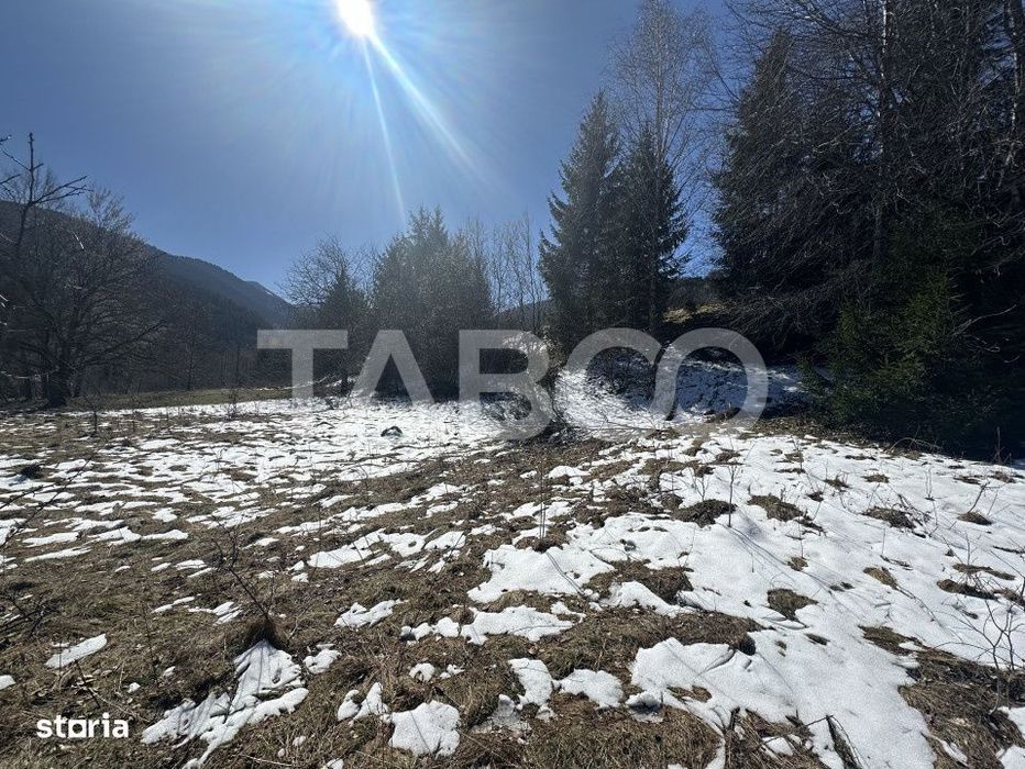 Teren extravilan 4600 mp cu acces la rau Satul de Vacanta Dejani