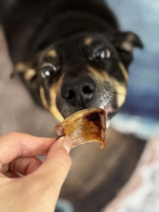 Pet Line Pro/ лакомства для собак/ трахея