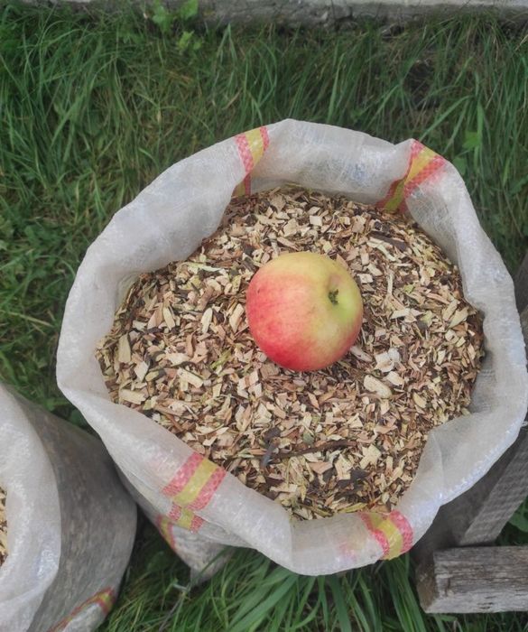 Щепа яблони для копчения