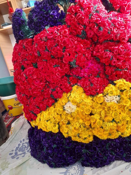 Flori nemuritoare(imortele)