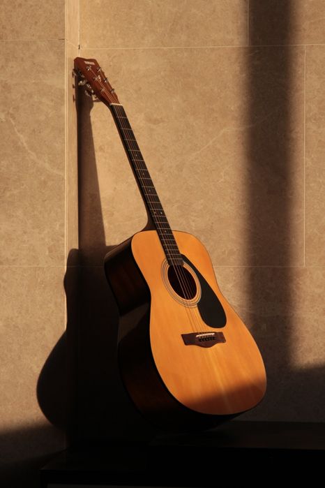 Yamaha F310 + чехол