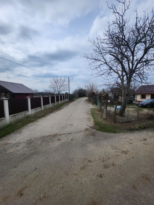 Vând Teren Intravilan, Branistari  1000m2, Deschidere 21,33m