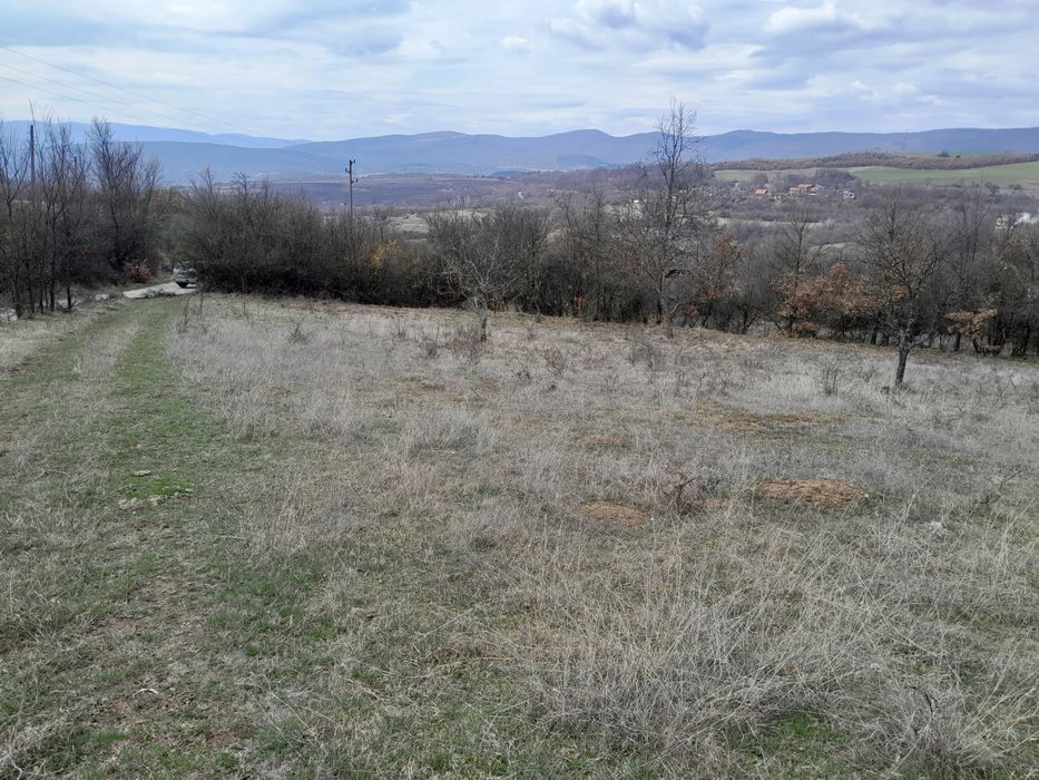 Пи - 1200 м2 в с. Косача