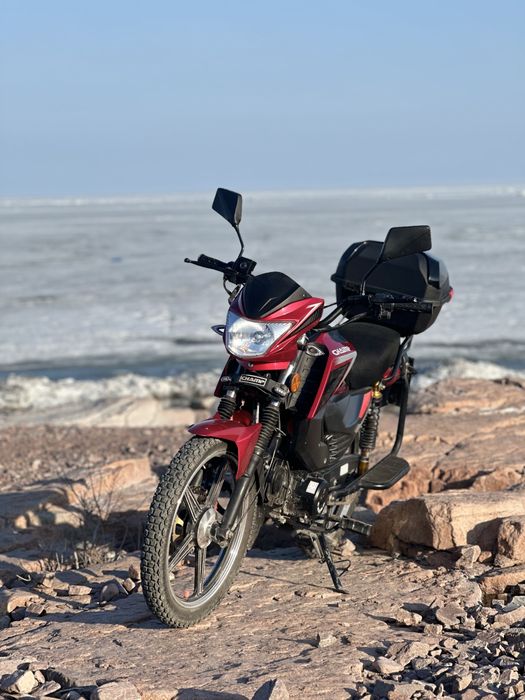 Альфа чамп 125 кубов