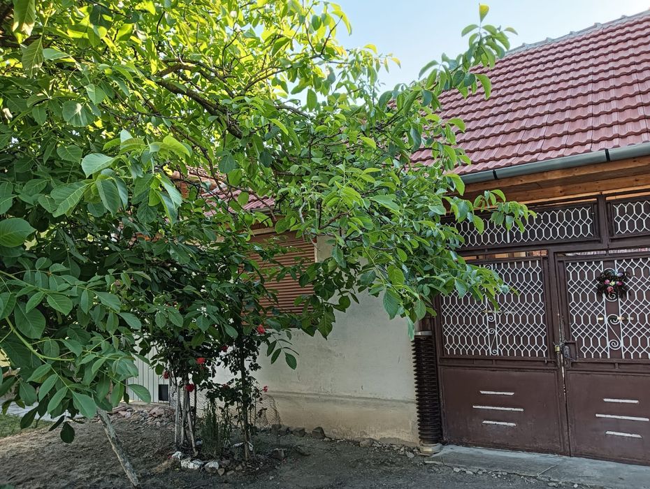 Casă de vânzare în localitatea Berindia comuna Buteni Jud.Arad.