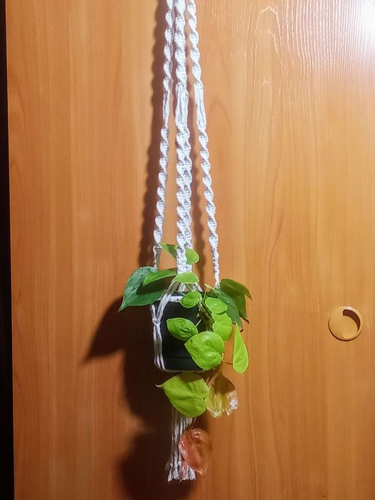 Продам Макрамэ подвес для цветов