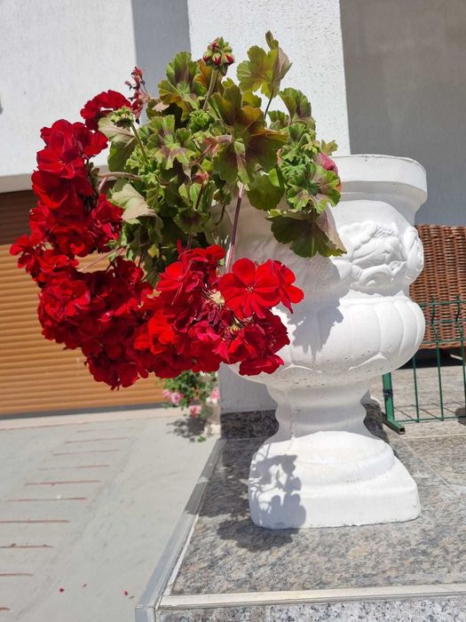 Pitici  si Iepurasi decorativi din ciment pt gradina -Ghivece mai si mici