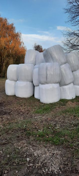 Vând baloți de lucernă uscată și infoliata și baloți de fan 2025