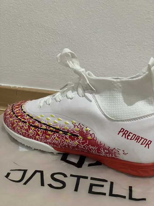 Сороконожки новые