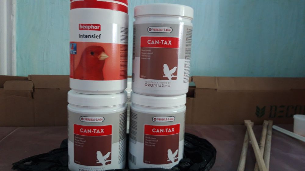 Краска для окрашивания канареек.