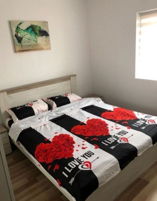 Ofer spre inchiriere apartament 2 camere zona centrală,  decomandat