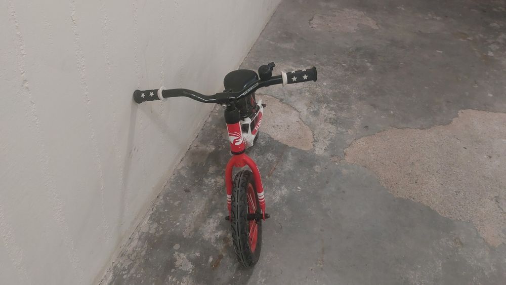 Баланс колело Ферини