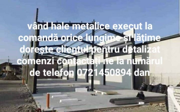 Vand hală metalică 10 X 20