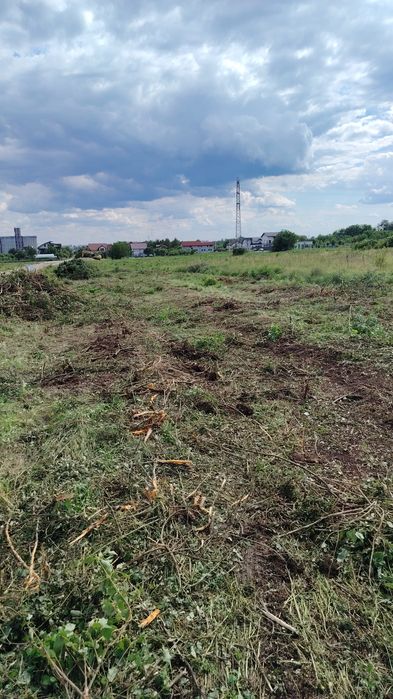 Curatarii terenurii Bucuresti ( Pipera,Baneasa)