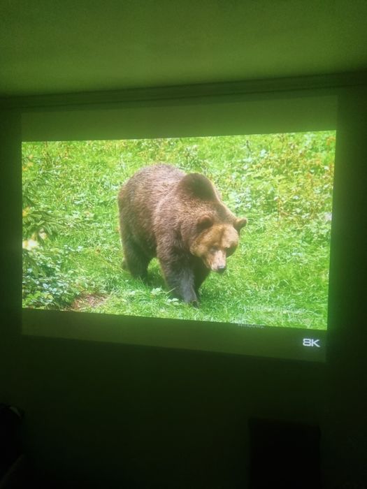 2800 Lumeni Optoma s526 videoproiector
