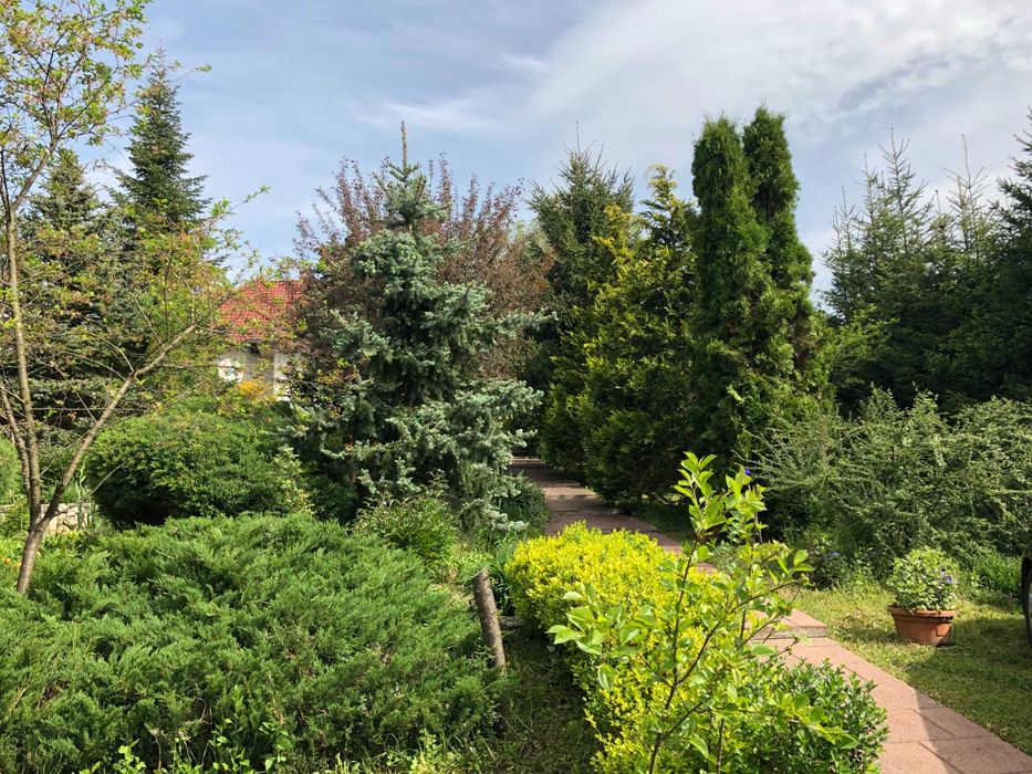 Casă de vânzare în localitatea Săvârșin, aproape de Castelul Regal