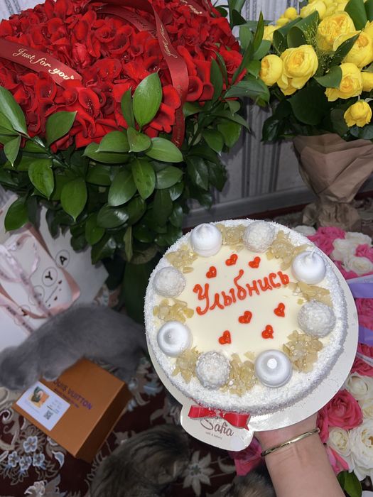 Scottish fold boy ( 3oylik, aqlli,mehribon judayam)