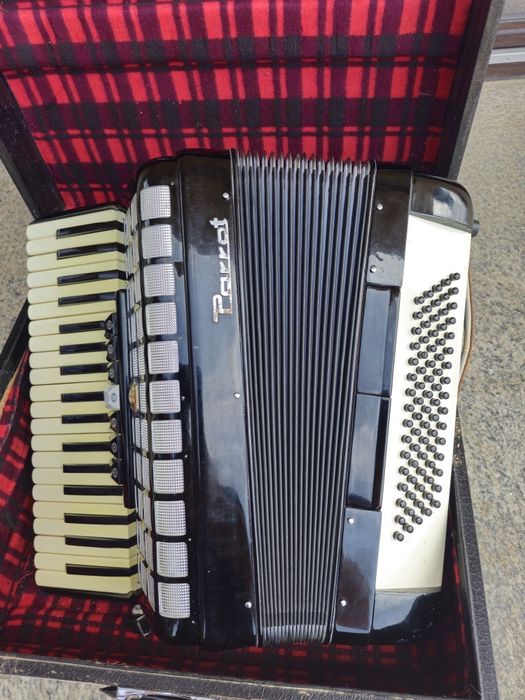 Acordeon Parrot cu 80 bași negru
