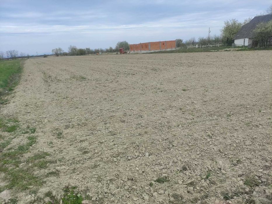 Teren intravilan in Cionchesti de 68,6 ari.
