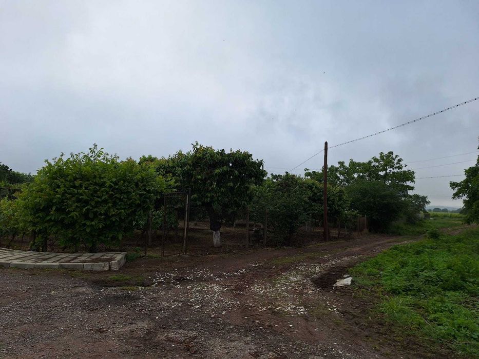 Продава се Парцел в с. Новаково, Област Пловдив - 1000 кв.м за 31 €/кв.м - Снимка #1