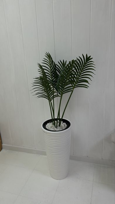 Мебель для студии