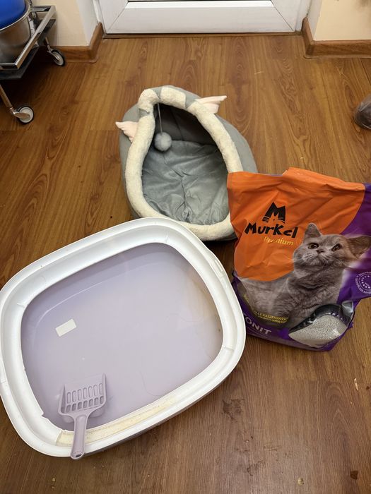 Кошачий набор, напольнитель, домик, лоток