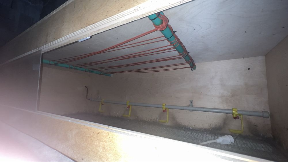 Брудер автоматический на 200 голов