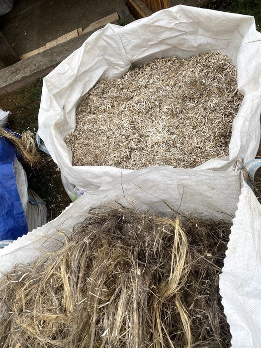 vand puzderie de cânepă uscată si curată