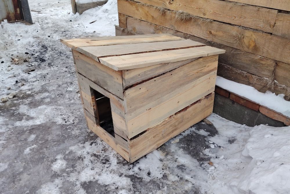 Срочно не дорого