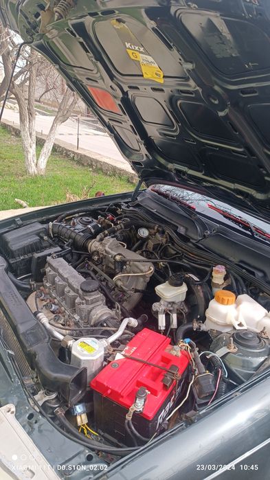 Neksia 1 sons 50% naqt vikub bez foiz