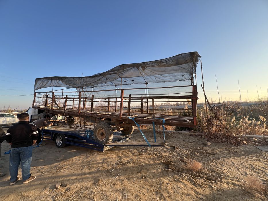 evakuator xizmati 24/7. vaqtni farqi yoq bemalol tel qileveringla