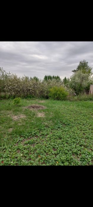 Продам дау С.О. Элеваторщик