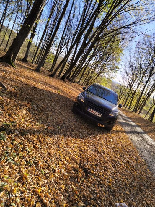 VOLKSWAGEN Tiguan 2010 — imagine 3
