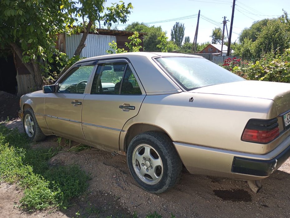 Mercedes dens 124