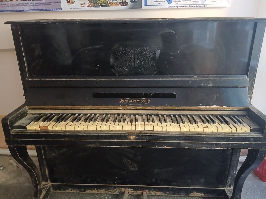 Pianina belarus arginal