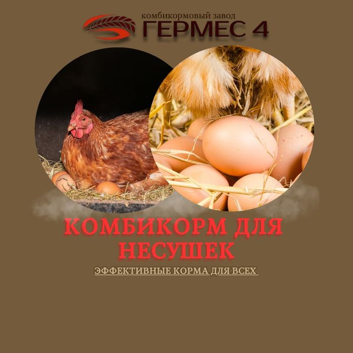 Комбикорм для всех направлений