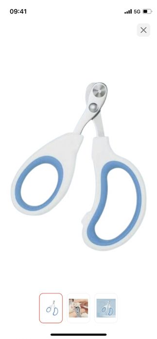 Система приучения к туалету