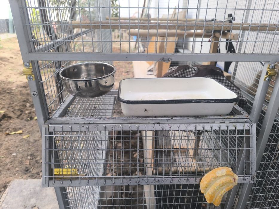 Вольер срочно сотилади