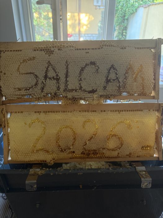 Miere de salcam 2026