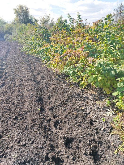 Продам дачный участок (дача)