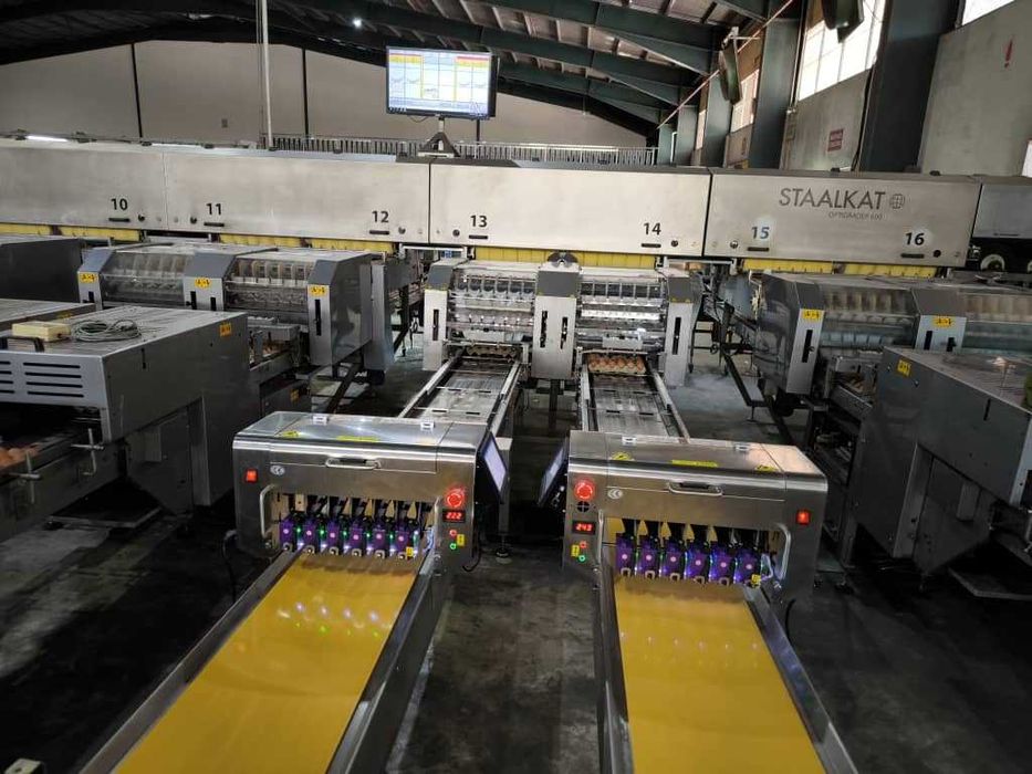 Маркиратор для яиц/ Тухумга маркиратор /