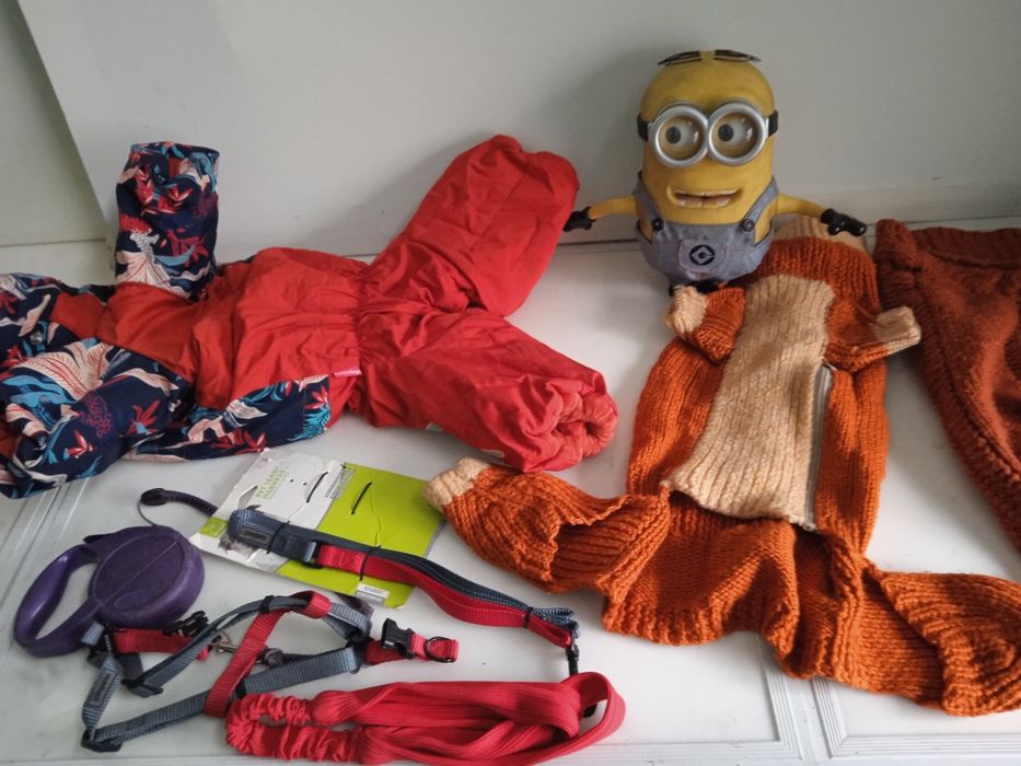 Одежда для Собаки Собачьки 3 штуки среднего размера в Подарок поводки