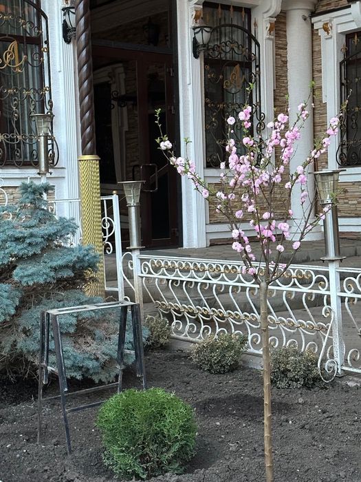 Дом и Бизнес в одном пространстве