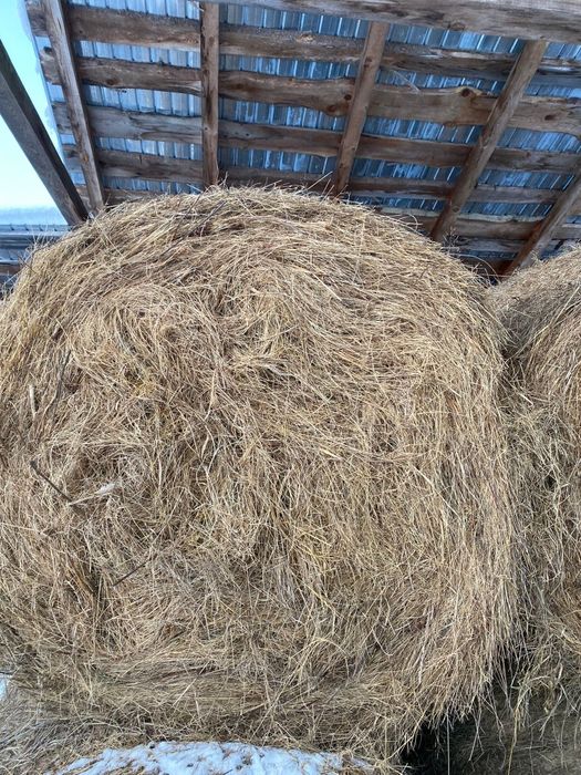 Vând baloți de fân