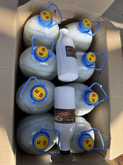 Оптом қымыз шұбат сүт өнімдері